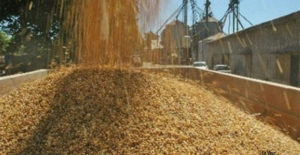 El Gobierno oficializó cambios en Exporta Simple y fijó nuevos topes para pequeñas exportaciones