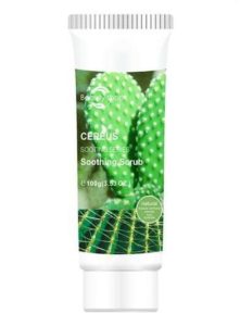 Las bondades del cactus para cuidar tu piel