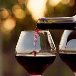 Se celebra el Día del Vino Argentino