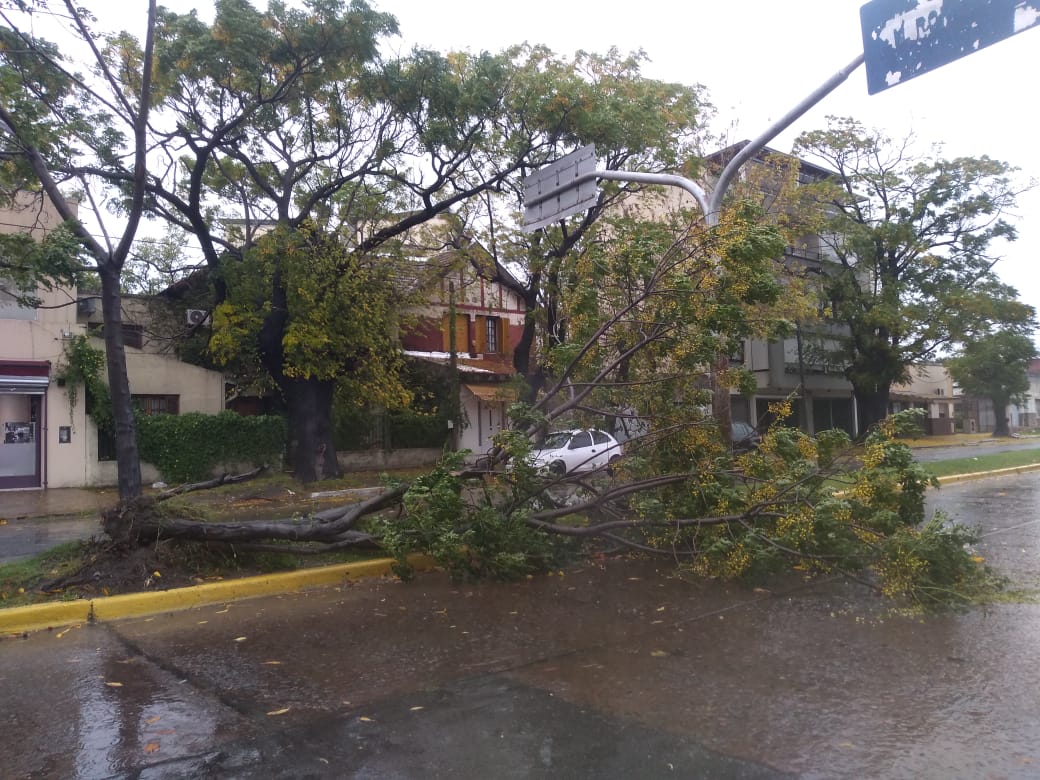 caída de poste lluvia temporal