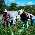 Disuelven tres fondos fiduciarios vinculados a agricultura familiar, vivienda social y comunicación