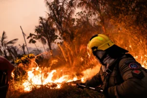 Tras los incendios forestales, flexibilizan el uso del fuego en parques nacionales patagónicos