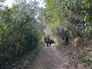 El senderismo: de andar por el campo a ser casi una receta médica