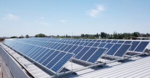 Los 6 proyectos argentinos que están cambiando el mundo desde la sustentabilidad