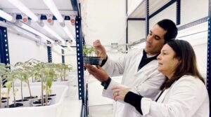 Ciencia con impacto productivo: reutilizan residuos cerveceros para generar productos con valor agregado