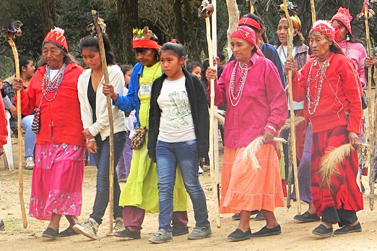 pueblos originarios