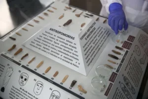 Hallan en Perú 43 figuras milenarias de dioses, animales y humanos de la civilización Caral